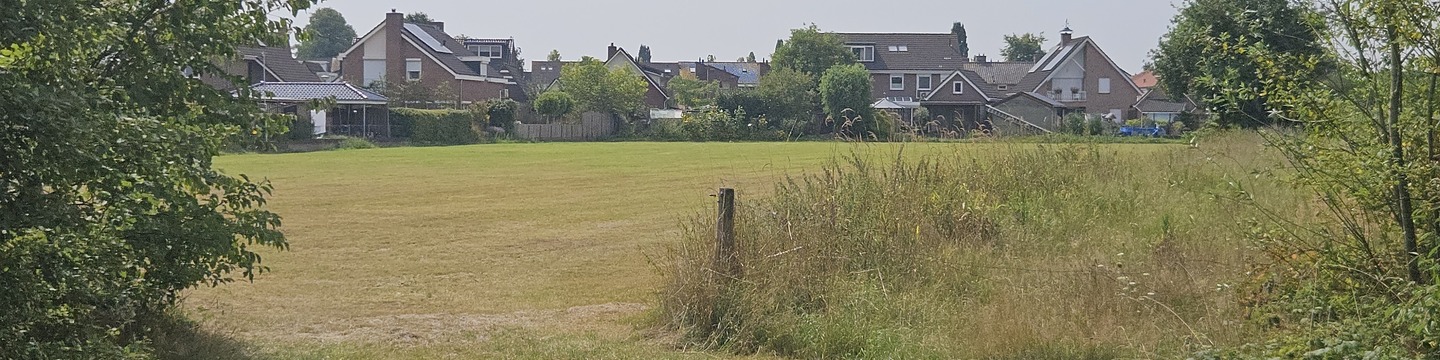 afbeelding van projectgebied gezien vanaf de Dasstraat